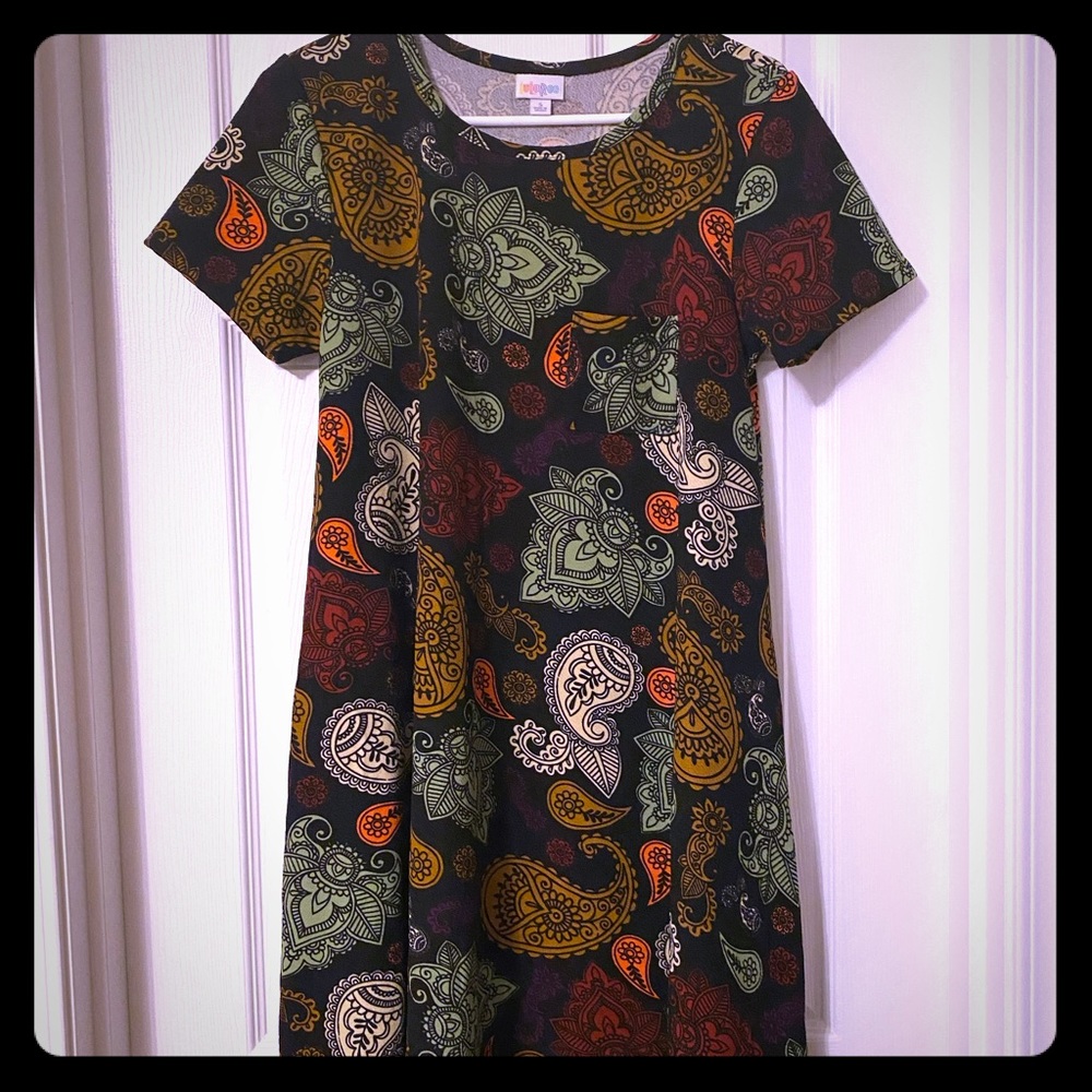 Beautiful Paisley LuLaRoe Carly